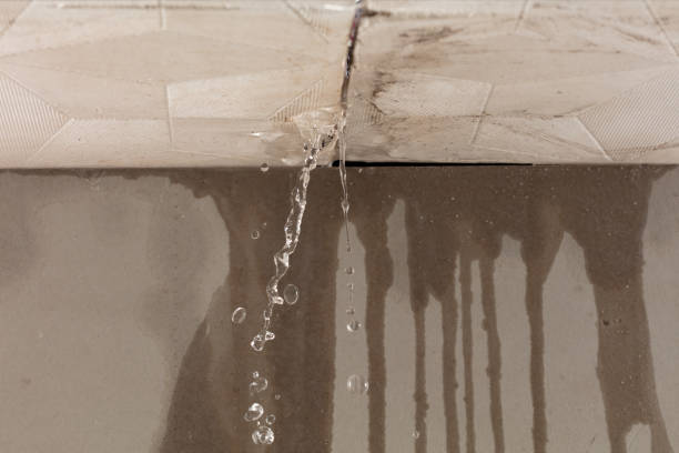 Professional Burst Pipe Cleanup technician working in La Porte, TX